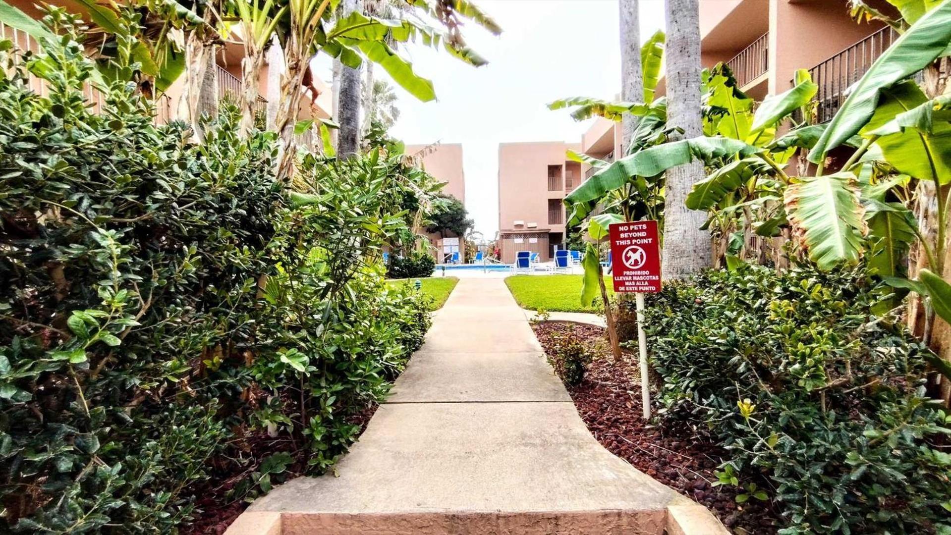 Beachview 110 Condo South Padre Island Dış mekan fotoğraf